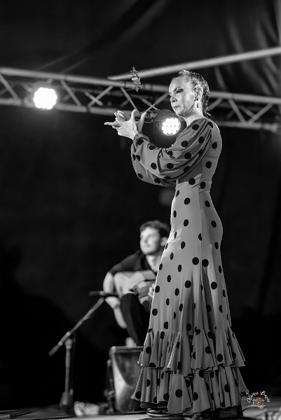 flamenco (73)